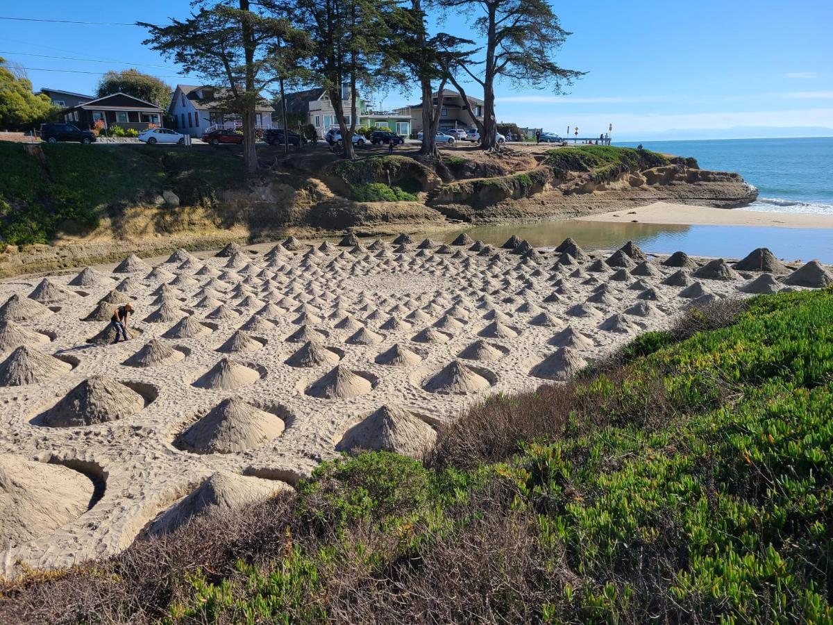 Sunny Cove Motel Capitola Exteriör bild