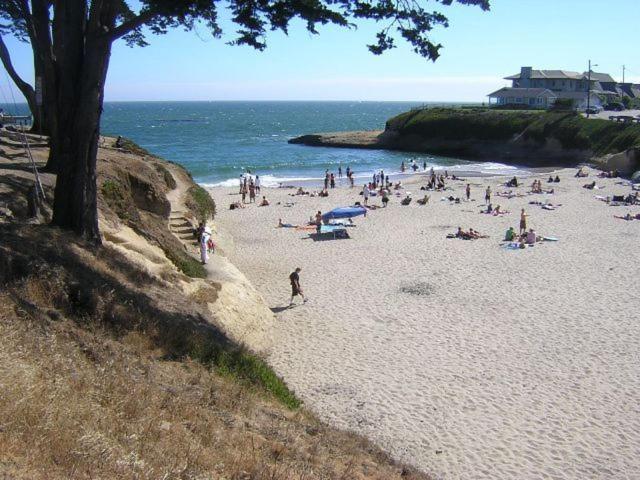 Sunny Cove Motel Capitola Exteriör bild